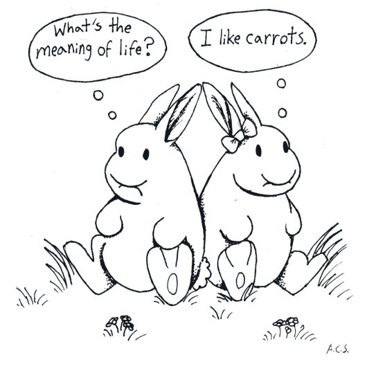 The Meaning Of Life