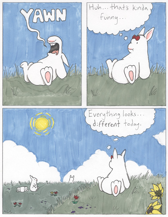 We’re Not In Kansas Anymore