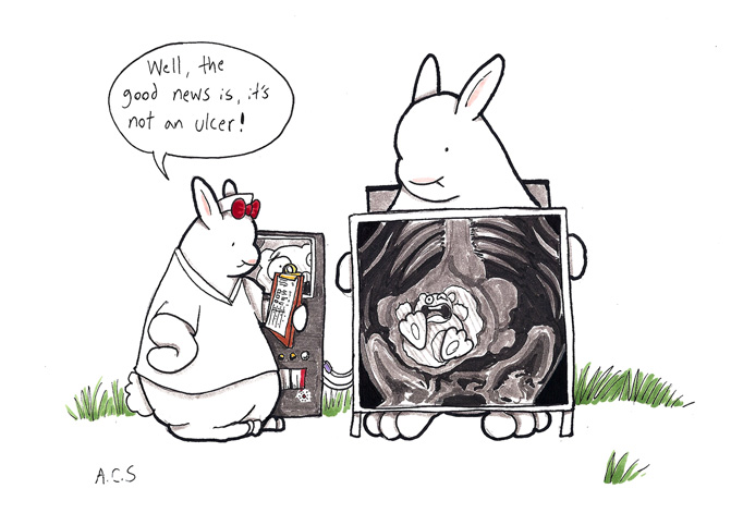 Health Professional VII